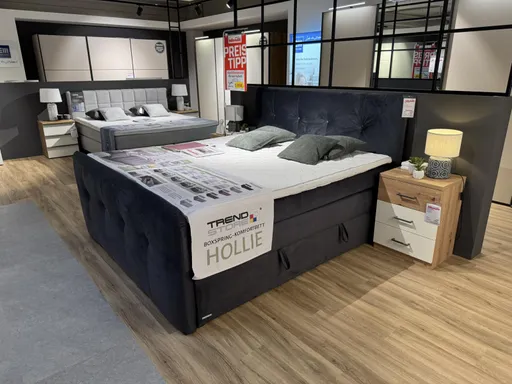 Boxspringbett TRENDSTOTE Hollie